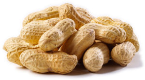 Protein-Rich Foods | Peanuts