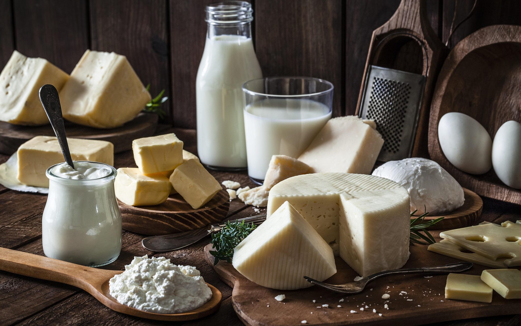 7 Calcium Rich Foods You Should Include In Your Diet