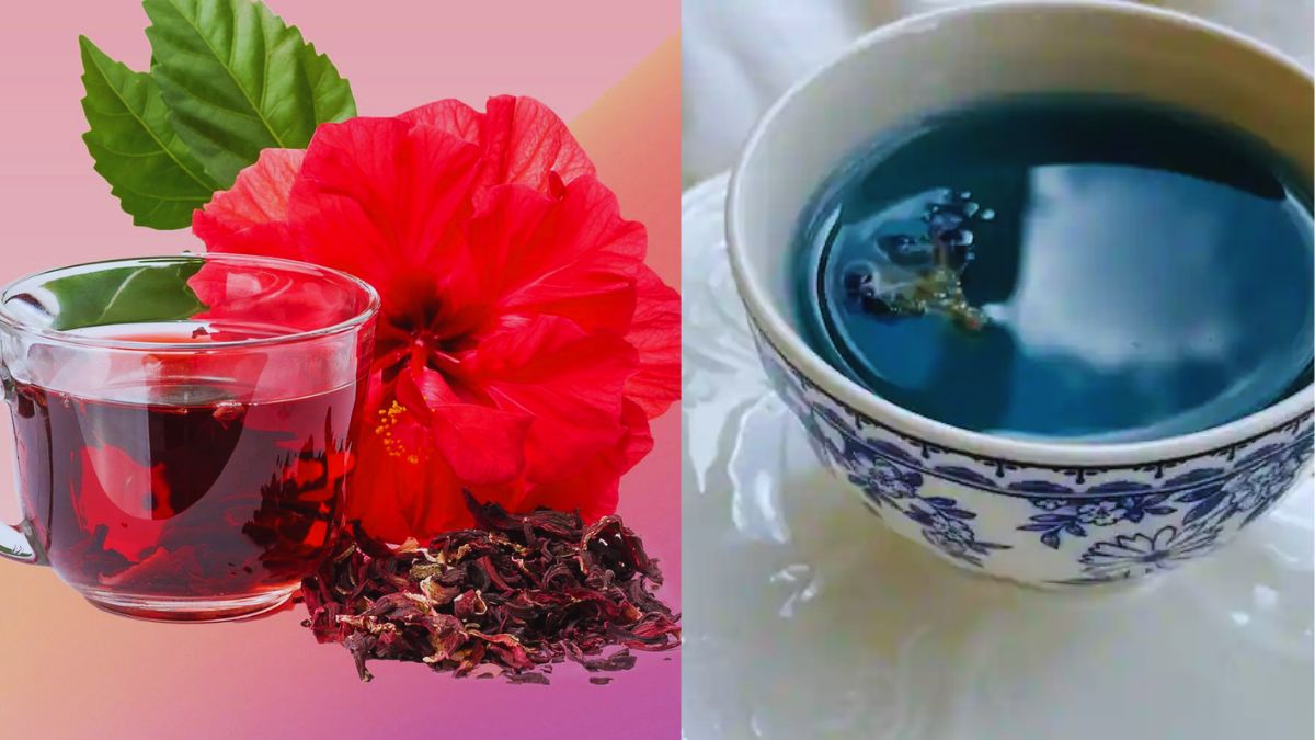 Floral Teas, Rose, Chamomile, Jasmine, Lavender, Hibiscus