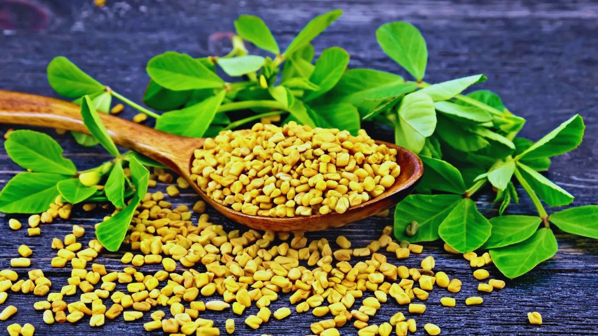 Seed, Fenugreek, Chia, Cumin, Fennel, Water, Digestion, Metabolism