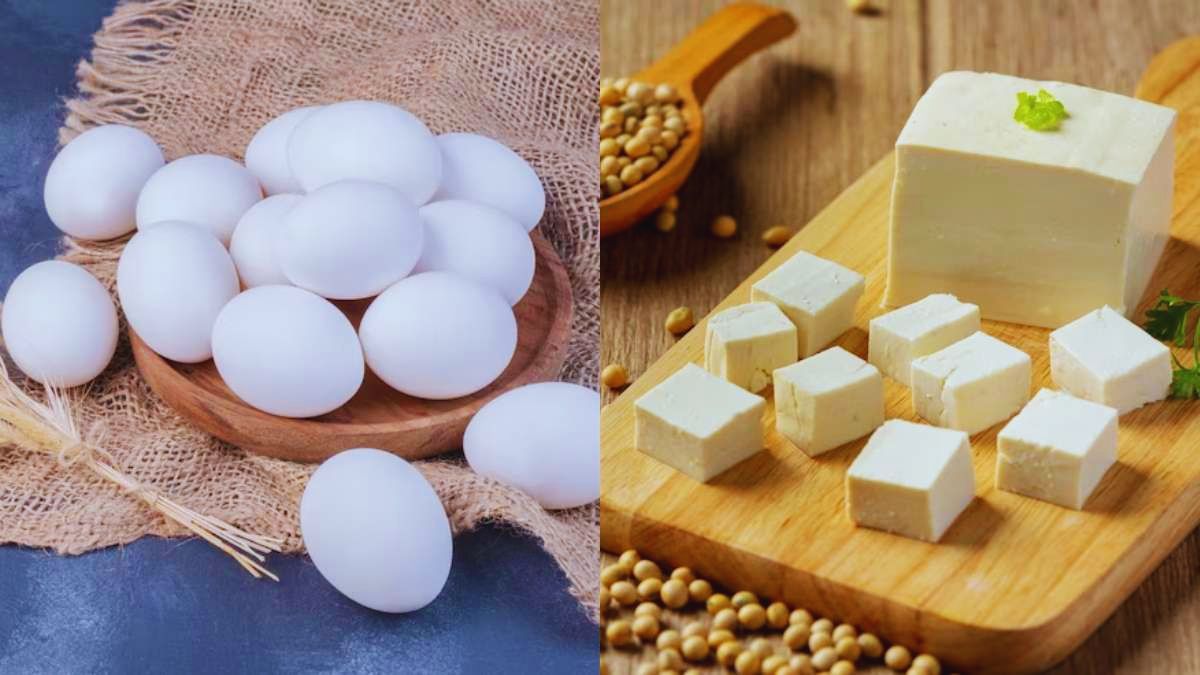 Egg, Calorie, Paneer, Protein, Metabolism