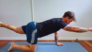 Fitness, Climber, Plank, Crunch, Core Exercise, Bird Dog, Bridge Pose