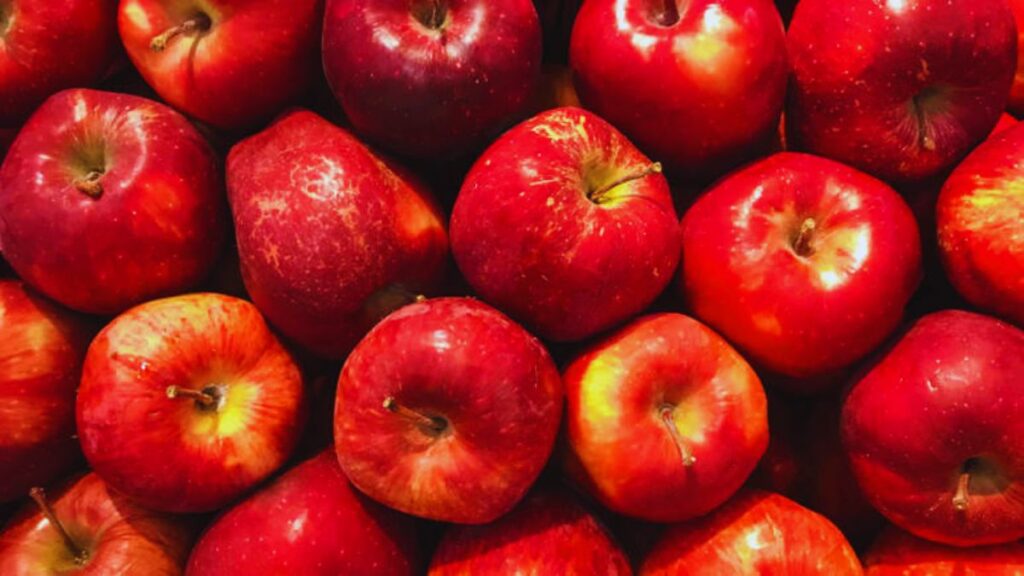 Fruits, Vitamins, Minerals, Toxins, Liver, Kidney, Weight Loss