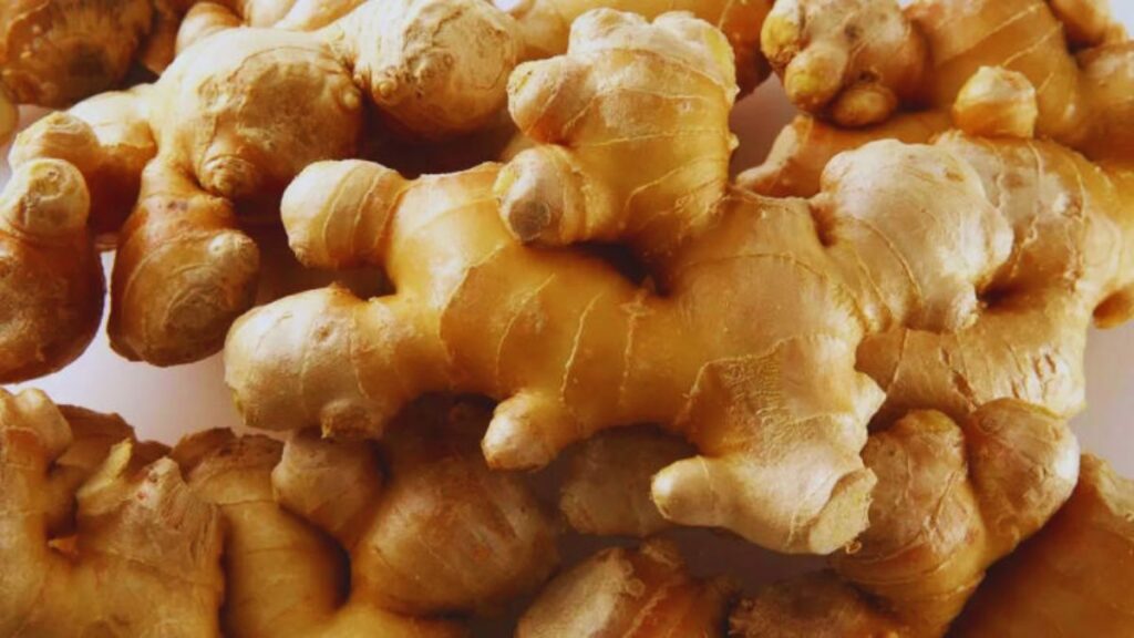 Turmeric, Black Pepper, Health, Magnesium, Apple Cider Vinegar, Fish Oil Ginger
