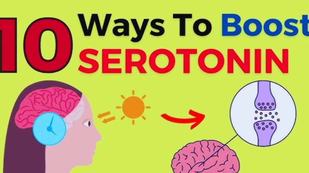 Serotonin, Health, Exercise, Sleep, Stress