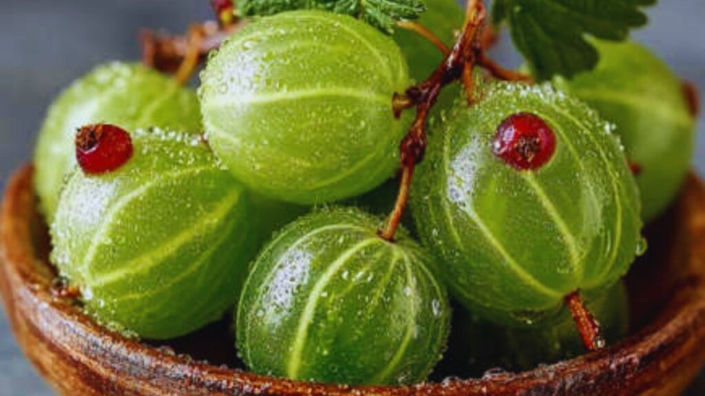 Ayurvedic ingredients, benefits of turmeric, sesame seeds for health, Amla for immunity, ghee benefits, honey in Ayurveda, Tulsi uses, barley for weight loss, natural healing, Ayurvedic remedies.