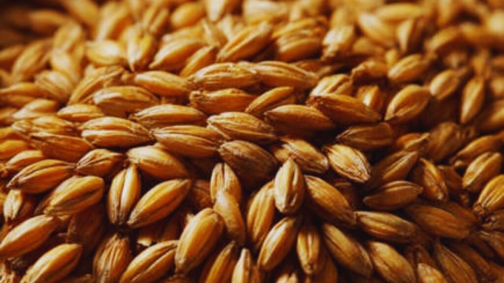 Ayurvedic ingredients, benefits of turmeric, sesame seeds for health, Amla for immunity, ghee benefits, honey in Ayurveda, Tulsi uses, barley for weight loss, natural healing, Ayurvedic remedies.