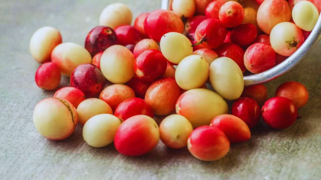 forgotten Indian fruits, Ayurvedic fruits, rare Indian fruits, traditional Indian fruits, Chakotra benefits, Bengal currant karonda, star fruit kamrakh, wood apple bael, elephant apple chalta, ancient Indian superfoods, Indian fruit chutney recipes, Ayurvedic diet fruits, vitamin C rich fruits India.