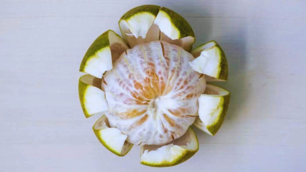 forgotten Indian fruits, Ayurvedic fruits, rare Indian fruits, traditional Indian fruits, Chakotra benefits, Bengal currant karonda, star fruit kamrakh, wood apple bael, elephant apple chalta, ancient Indian superfoods, Indian fruit chutney recipes, Ayurvedic diet fruits, vitamin C rich fruits India.