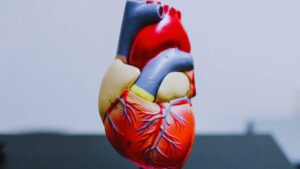 potassium benefits, potassium rich foods, importance of potassium, potassium for heart health, potassium and blood pressure, foods high in potassium, how to get more potassium, potassium for muscle function, electrolyte balance, potassium deficiency symptoms.