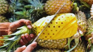 Guava, Bananas, Pineapple, Oranges, Mangoes, Lemon