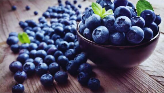 Nails, Biotin, Zinc, Vegetarian, Nuts, Spinach, Berries, Sweet Potato, Legumes, Pumpkin Seeds