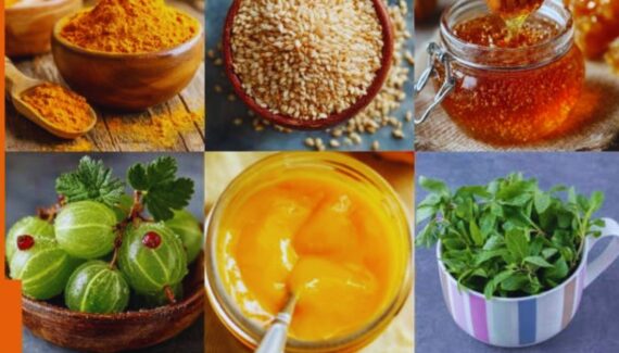 Ayurvedic ingredients, benefits of turmeric, sesame seeds for health, Amla for immunity, ghee benefits, honey in Ayurveda, Tulsi uses, barley for weight loss, natural healing, Ayurvedic remedies.