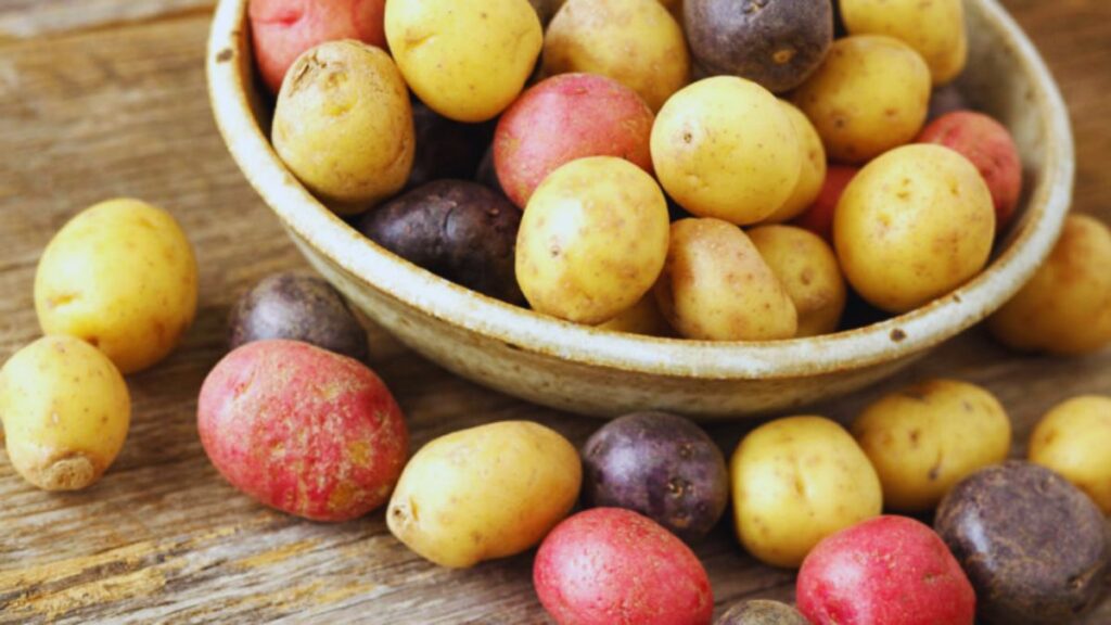 muscle recovery nutrition, post-workout foods, best foods for muscle recovery, protein for muscle repair, omega-3 fatty acids, dairy for muscle recovery, starchy vegetables for energy, post-workout protein, foods to reduce muscle soreness, post-exercise recovery meals