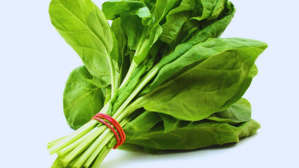 Anaemia, Haemoglobin, Iron Deficiency, Red Meat, Leafy Greens, Soy, Tofu, Pumpkin Seeds, Nuts, Beans, Lentils