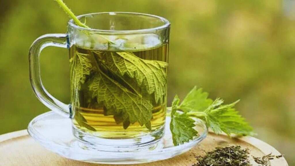 kidney health tea, herbal tea for kidneys, natural kidney cleanse, detox tea, best tea for kidney function, dandelion tea benefits, nettle leaf tea, hibiscus tea, green tea for kidneys, parsley tea benefits.