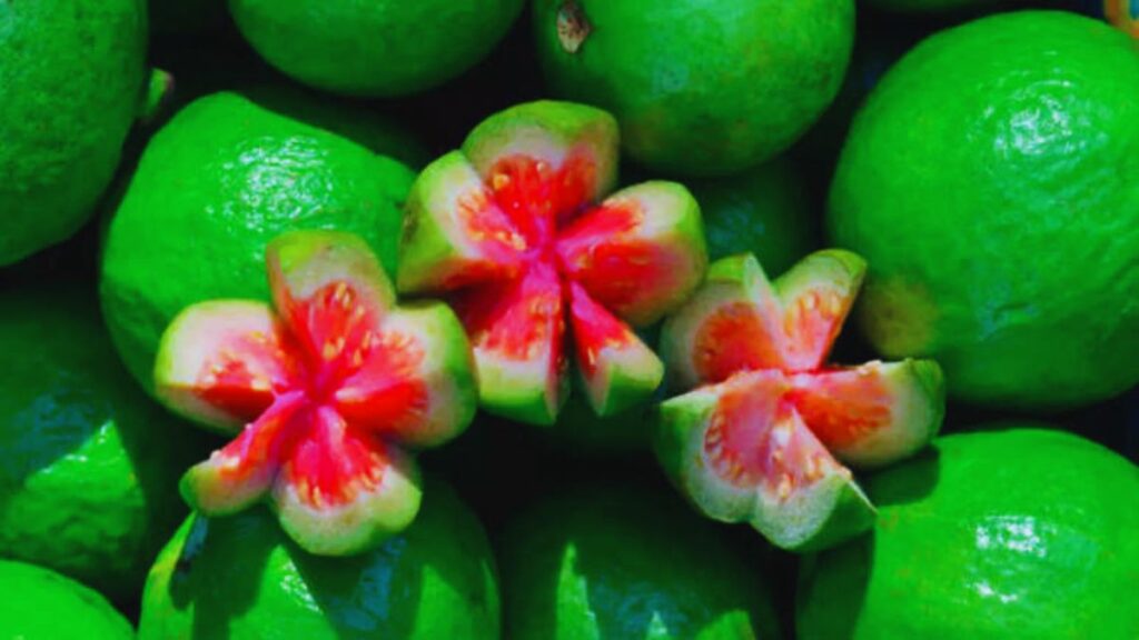 benefits of eating guava daily, guava health benefits, what happens when you eat guava, guava nutrition, guava benefits for skin, guava for weight loss, guava for digestion, guava for diabetes, guava for immunity, guava for heart health, vitamin C in guava, guava breakfast ideas, guava antioxidant benefits, guava for eye health, daily superfoods, high fiber fruits
