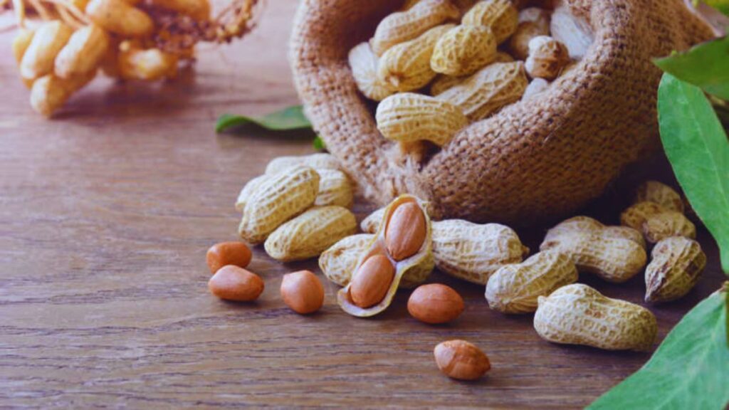 thyroid foods to avoid, thyroid diet tips, hypothyroidism trigger foods, Hashimoto’s diet restrictions, foods that affect thyroid hormones, thyroid medication absorption, goitrogenic foods list, soy and thyroid health, cruciferous vegetables thyroid, coffee and thyroid medication, peanuts thyroid goitrogens, thyroid-friendly diet plan