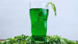 moringa powder benefits, moringa for health, moringa for immunity, moringa for digestion, moringa for diabetes, moringa for glowing skin, drumstick powder, moringa superfood, moringa uses, moringa powder for daily use