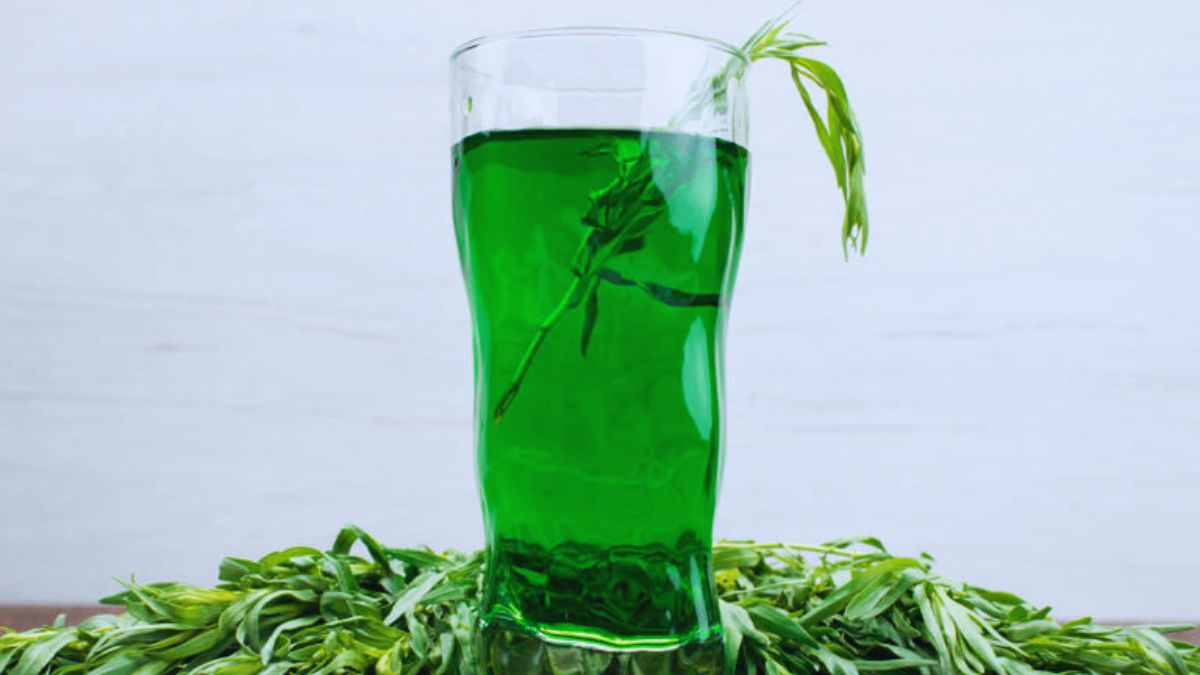 moringa powder benefits, moringa for health, moringa for immunity, moringa for digestion, moringa for diabetes, moringa for glowing skin, drumstick powder, moringa superfood, moringa uses, moringa powder for daily use