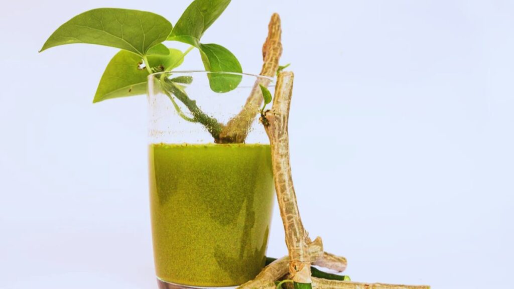 Amla for diabetes, Giloy for diabetes, Amla vs Giloy, natural remedies for diabetes, Ayurvedic herbs for blood sugar, insulin resistance natural cure, Amla benefits for sugar, Giloy benefits for sugar, best Ayurvedic herbs for diabetes, reduce blood sugar naturally, Amla juice for diabetes, Giloy juice dosage, antioxidants for diabetes, insulin sensitivity herbs, Ayurvedic treatment for type 2 diabetes, herbal remedies for high sugar, nutrient comparison Amla Giloy, Amla nutrition facts, Giloy nutrition profile, blood sugar regulation Ayurveda