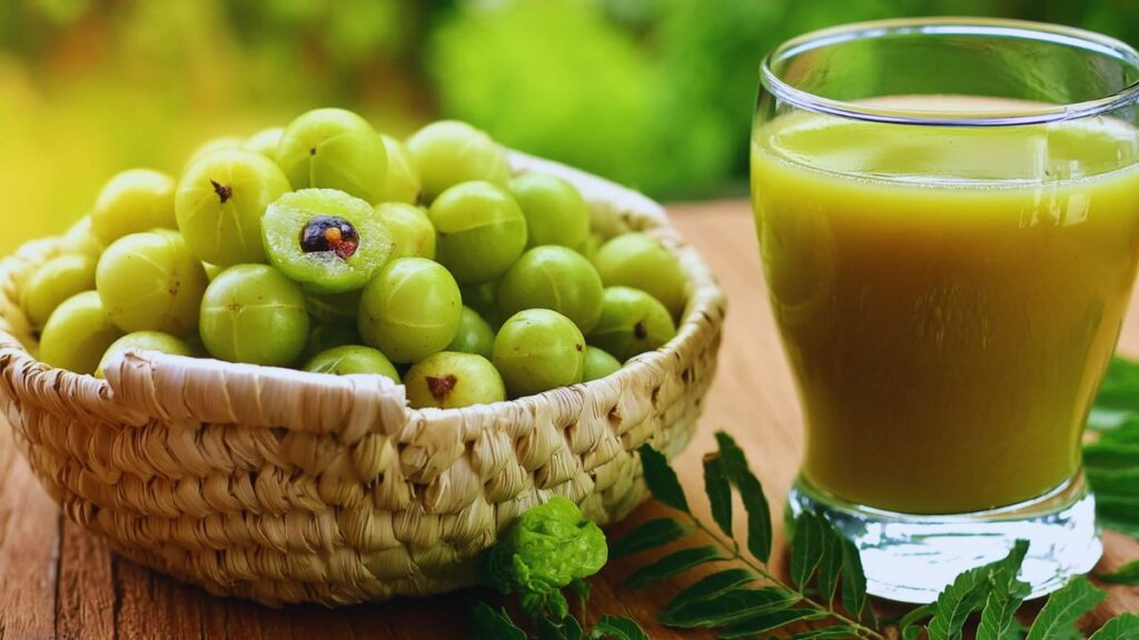 Amla for diabetes, Giloy for diabetes, Amla vs Giloy, natural remedies for diabetes, Ayurvedic herbs for blood sugar, insulin resistance natural cure, Amla benefits for sugar, Giloy benefits for sugar, best Ayurvedic herbs for diabetes, reduce blood sugar naturally, Amla juice for diabetes, Giloy juice dosage, antioxidants for diabetes, insulin sensitivity herbs, Ayurvedic treatment for type 2 diabetes, herbal remedies for high sugar, nutrient comparison Amla Giloy, Amla nutrition facts, Giloy nutrition profile, blood sugar regulation Ayurveda